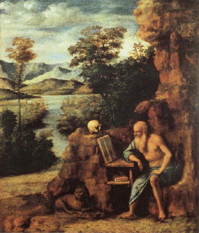 St.Jerome in the Desert, CIMA da Conegliano